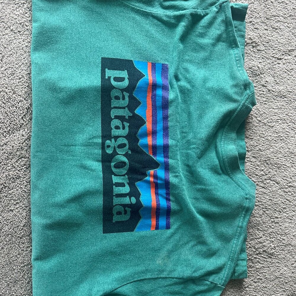 Patagonia Short Sleeve Men's Tshirt Size M